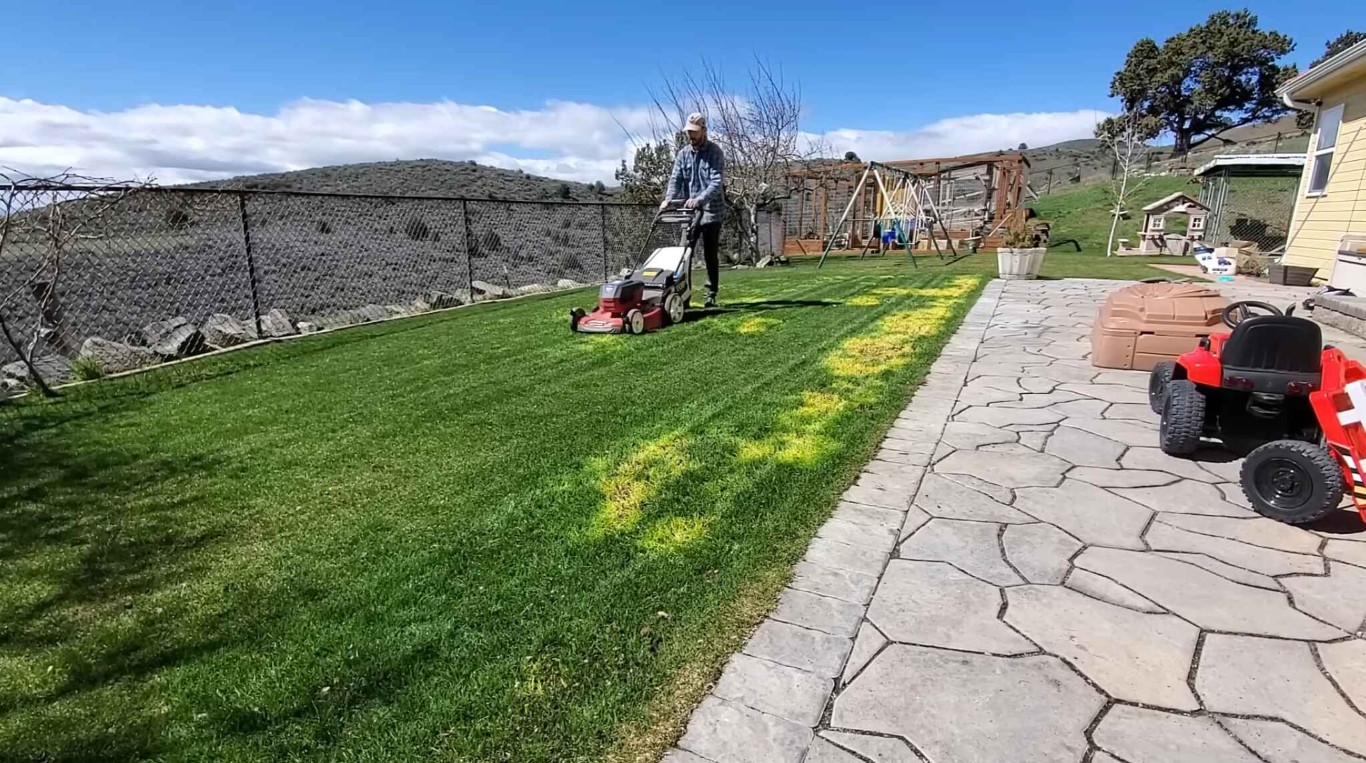 Professional lawn mowing and maintenance service in Arcadia, CA